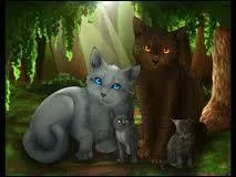 Mais pourquoi Lune Bleue abandonne-t-elle ses chatons ?