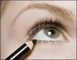 Que voit-on sur la photo ?