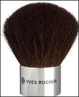 Que voit-on sur la photo ?