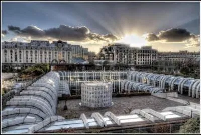 Albert Camus a eu une autre profession que celle d'écrivain. Laquelle ?