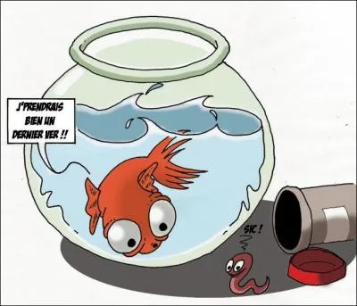 On dit souvent de quelqu'un qu'il a une mémoire de poisson rouge, c'est à dire très courte. Quelle est la durée moyenne de sa mémoire ?