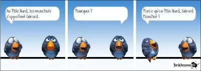 Sans vous prendre pour des pingouins, les manchots peuvent voler, est-ce vrai ? (Agrandissez l'image ! ) ;-)