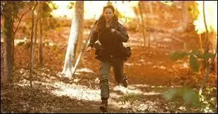 Qu'est-ce que "The Hunger Games" ?