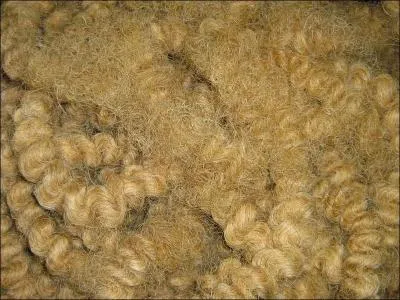 Que reconnaissez-vous ?