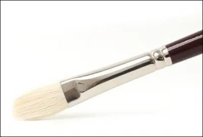 Comment appelle-t-on les poils du porc qui servent à faire des pinceaux ?