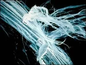 Quelle est l'origine de cette fibre, vue au microscope, dont la réputation est mauvaise et conduit à des procès et à des interdictions d'utilisation ?