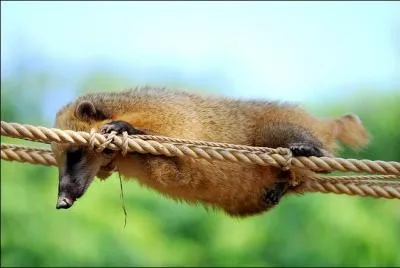 Ah qu'il fait bon habiter le doux pays !