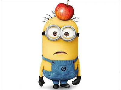 Qui est ce Minion ?