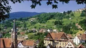 Je vous emm&egrave;ne &agrave; la d&eacute;couverte de Munster. C&eacute;l&egrave;bre pour son fromage &eacute;ponyme, cette ville alsacienne se situe dans le d&eacute;partement ...
