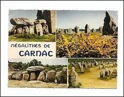 Où se situe la ville de Carnac, célèbre pour ses alignements de menhirs ?