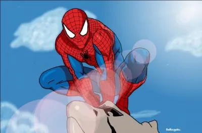 Quel est le titre du dessin animé ?