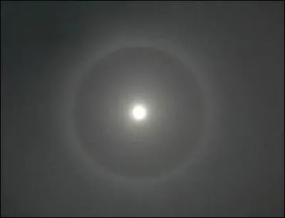 Qu'est-ce que j'observe ?