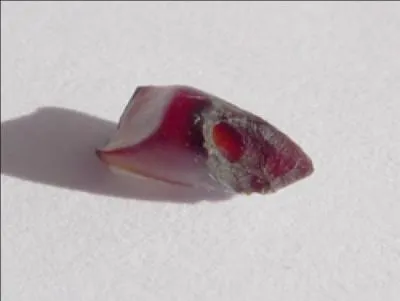 Une solution pour les enfants qui en boivent trop : laquelle ?