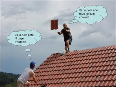 Il m'arrive des tuiles, mais je m'en sors avec les 'honneurs'. Agrandissez l'image qui n'est là que pour le fun.)