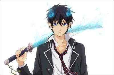 Comment s'appelle ce personnage de "Blue exorcist" ?