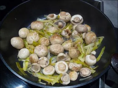 Que sont ces champignons ?
