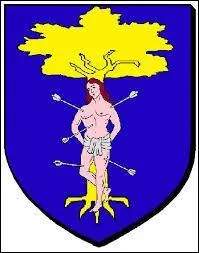 Voici le blason de Saint-Sébastien-d'Aigrefeuille. Commune Gardoise, elle se situe en région ...