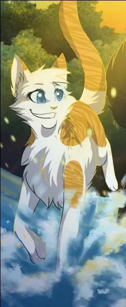 Qui était le premier apprenti d'Etoile Solitaire ?