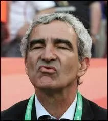 En 2008, après sa défaite 2/0 face à de l'Italie, l'équipe de France fut éliminée de l'Euro. Quelle déclaration surprenante Raymond Domenech a-t-il faite à l'issue de ce match ?