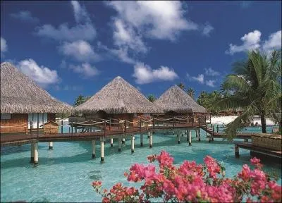 Destination paradisiaque.