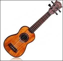 Quel est cet instrument ?