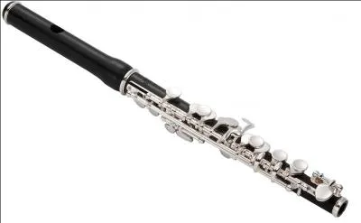 Quel est cet instrument ?