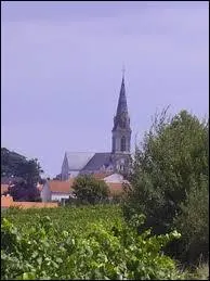 Nous marchons en direction de Bouzill&eacute;. Commune Angevine, elle se situe en r&eacute;gion ...