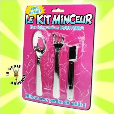 Q'arrive-t-il à la lune ?