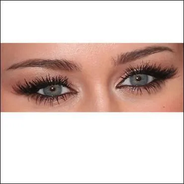 Ce sont les yeux de :