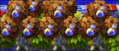 Combien faut-il payer pour aller sur l'île ?