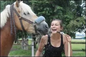 Quel est le 'meilleur' souvenir de Sonia avec Pastou ?