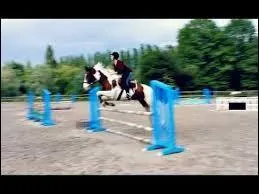 Comment s'appelle ce cheval que Sonia a monté en saut ?