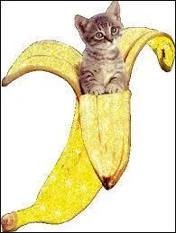 Pour 1 500 g de bananes, on paie 4, 50 . Combien coûte 1 kg ?