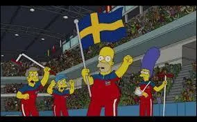 Homer porte un drapeau. Mais de quel pays ?