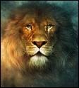 On retrouve ce magnifique lion dans 'Le monde de Narnia'.