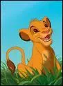 Quel est le nom de ce  lionceau que l'on retrouve dans 'Le Roi Lion'.