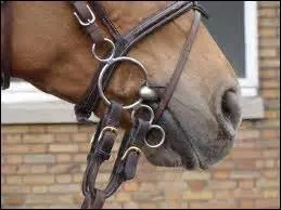 Je ronge mon... quand mes partenaires mettent la pédale douce.