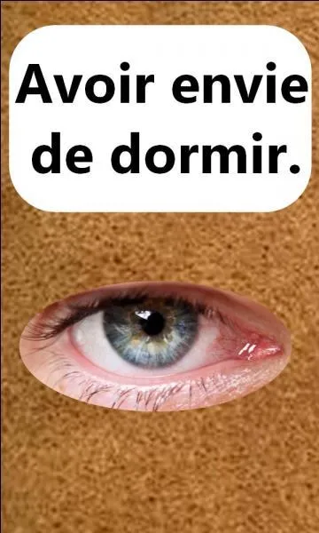 Quelle est la bonne expression ?