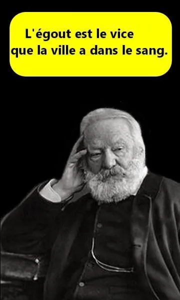 Dans quel livre de Victor Hugo peut-on lire cette citation ?