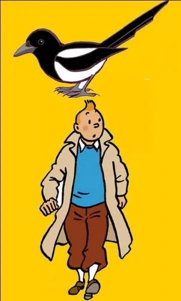 Quel est le titre de cet album des aventures de Tintin ?