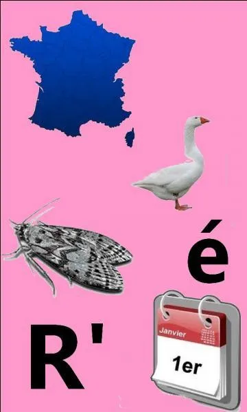 Quelle est la bonne réponse ?