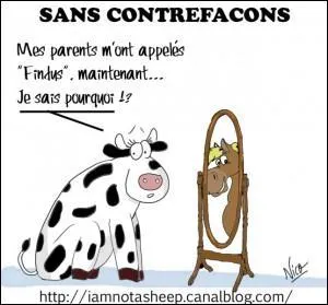 Regardez l'image et trouvez l'interprète !