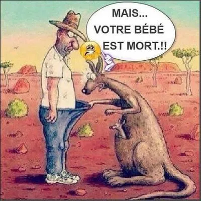 Fouillez dans vos souvenirs et trouvez le groupe !