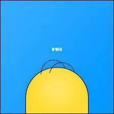 Combien Homer a-t-il de cheveux ?