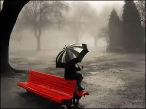 Qui a écrit les paroles "J'ai changé de pays, j'ai perdu mes amis pour gagner ta confiance, ma liberté, tu as su désarmer mes moindres habitudes, ma liberté, toi qui m'a fait aimé même la solitude" ?