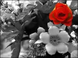 Avec quoi Voulzy voulait-il changer les hommes dans "le pouvoir des fleurs" ?