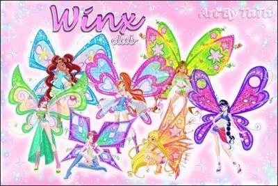 Quelle est cette transformation ?