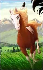 Qui est cette magnifique jument ?