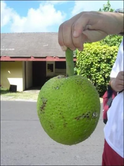 Qu'est-ce que c'est ?