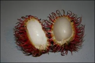 Qu'est-ce que c'est ?